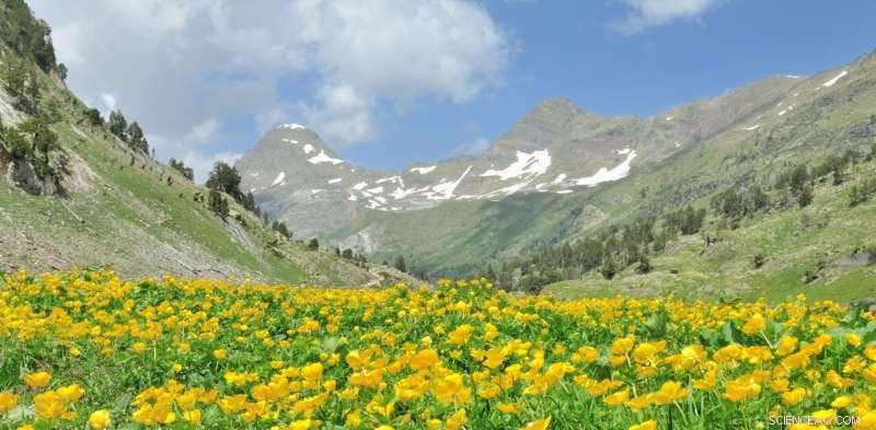 Microplastics Found in Remote Pyrenees Corner, Highlighting Global Pollution Reach