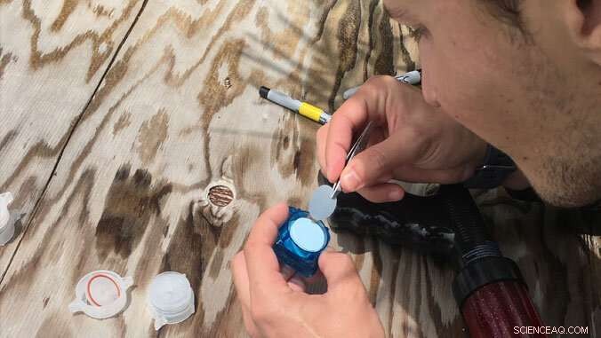 Advanced eDNA Technology Enables Rapid Coral Reef Assessments