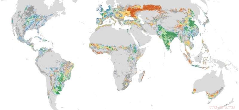 Researchers Map Global Manure Distribution to Boost Phosphorus Recycling