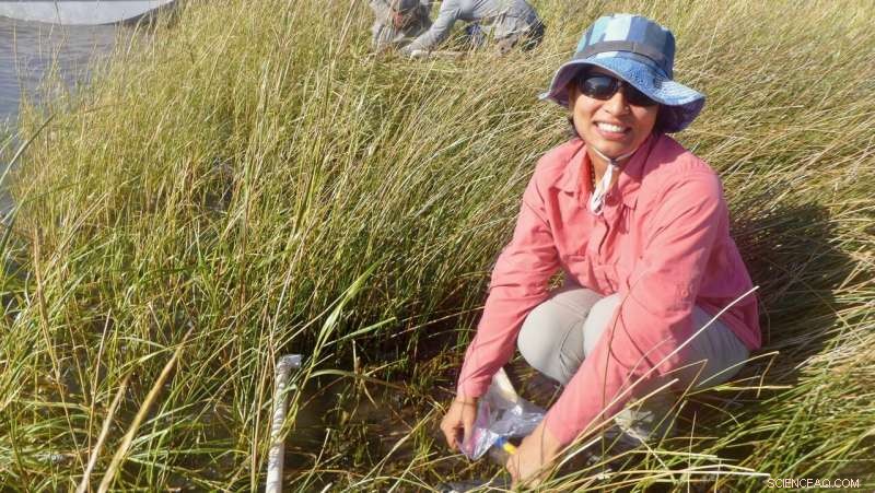 Study Highlights Long-Term Impacts of the Deepwater Horizon Oil Spill