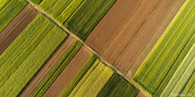 Organic Farming: The Key to Sustainable Agriculture