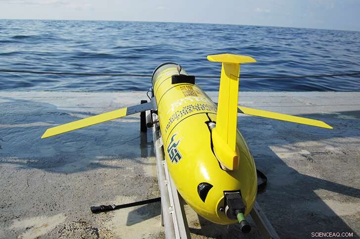 Ocean Circulation Identified as Key Factor Behind 2018 Red Tide