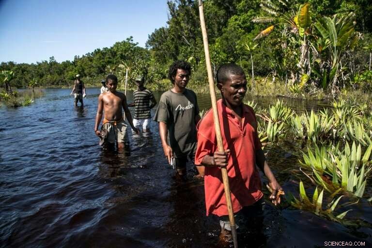 Poaching Endangers Madagascar s Vohibola Forest and Endangered Lemurs