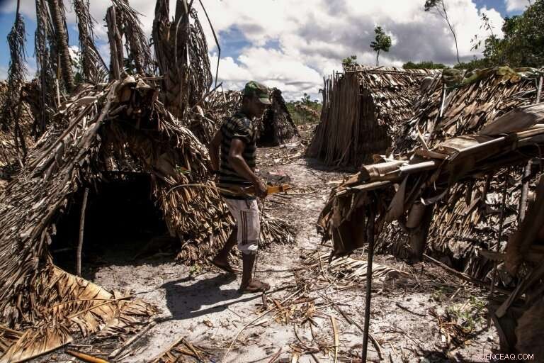 Poaching Endangers Madagascar s Vohibola Forest and Endangered Lemurs