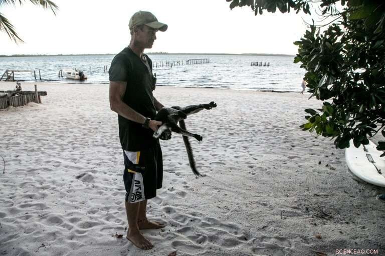 Poaching Endangers Madagascar s Vohibola Forest and Endangered Lemurs