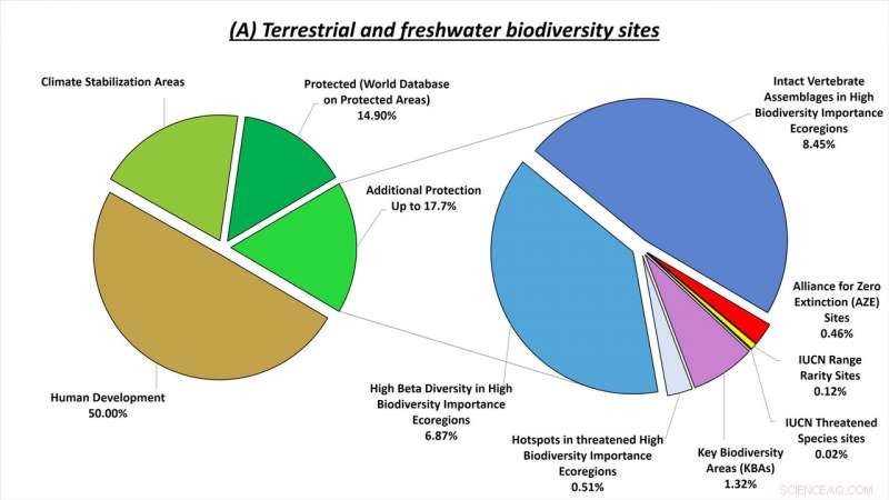 A $100 Billion‑Per‑Year Plan to Protect Earth s Biodiversity