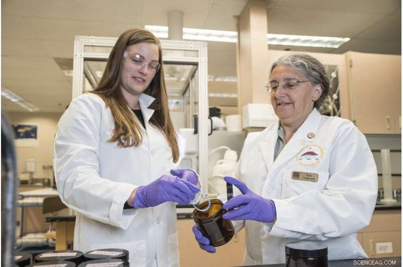 Global Wristband Study Reveals Consistent Chemical Exposure Across Three Continents