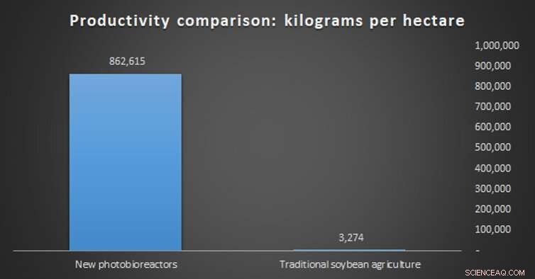 Harnessing Photosynthesis: A Strategic Solution to Deforestation and Food Insecurity