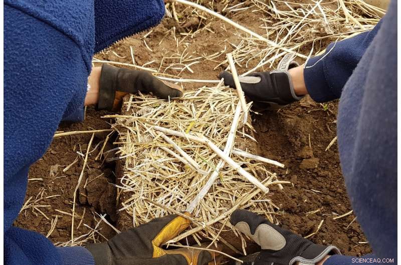 Optimizing Fertilizer Application: Precision Placement & Timing