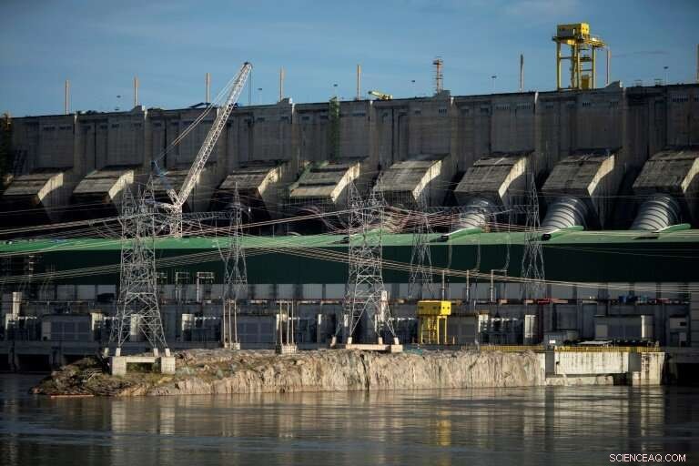 Amazon at Risk: The Impact of Illegal Logging in Brazil