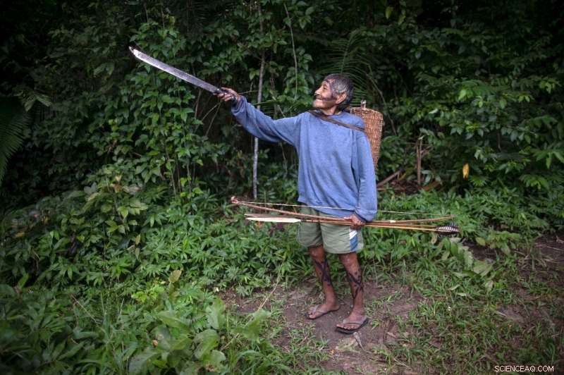 Isolation Shields Brazil’s Indigenous Community, Preserving Their Traditional Way of Life
