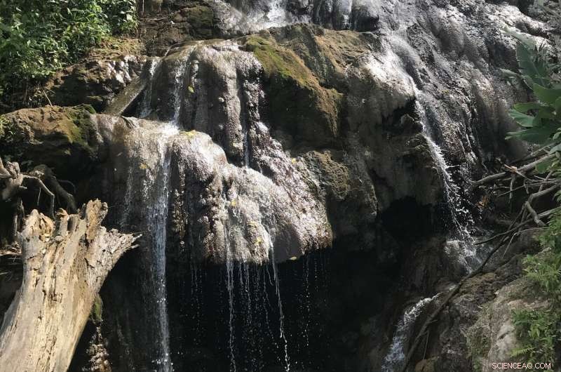 Microbes: Potential Gatekeepers of Earth s Deep Carbon Cycle