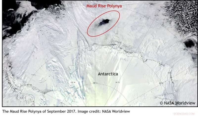 NYUAD Study Deciphers 43-Year Mystery of Antarctic Polynya