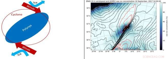 NYUAD Study Deciphers 43-Year Mystery of Antarctic Polynya