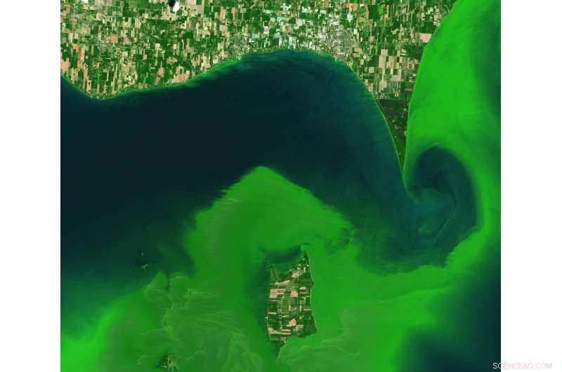 How Shifts in Rainfall and Temperature Are Already Affecting Water Quality