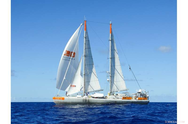 Groundbreaking Study Reveals Vast Diversity of Ocean Microbes