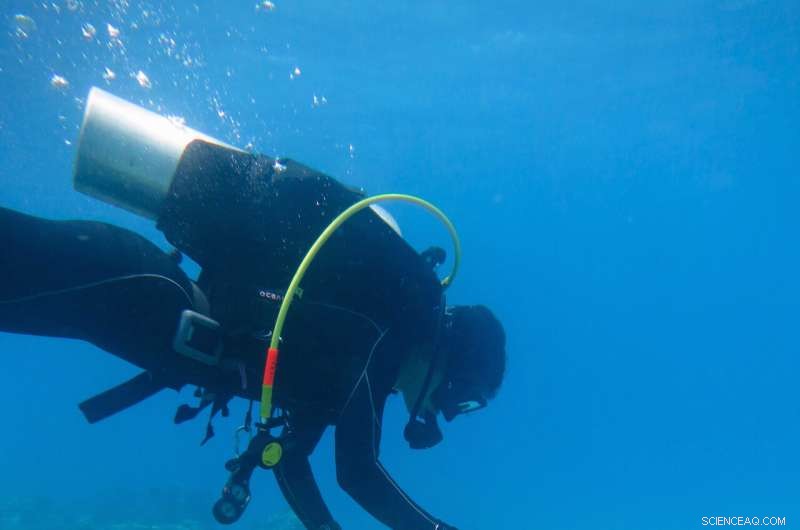 Place-Based Management Safeguards Coral Reefs Amid Climate Change