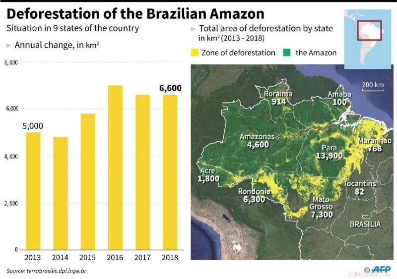 Massive Tropical Forest Loss: 2018 Burned an Area Equalling England – Global Report