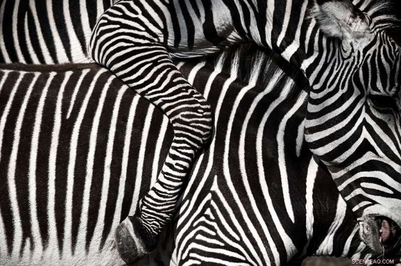 UN Report: Degrading Nature Threatens Humanity