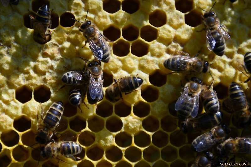 UN Report: Degrading Nature Threatens Humanity