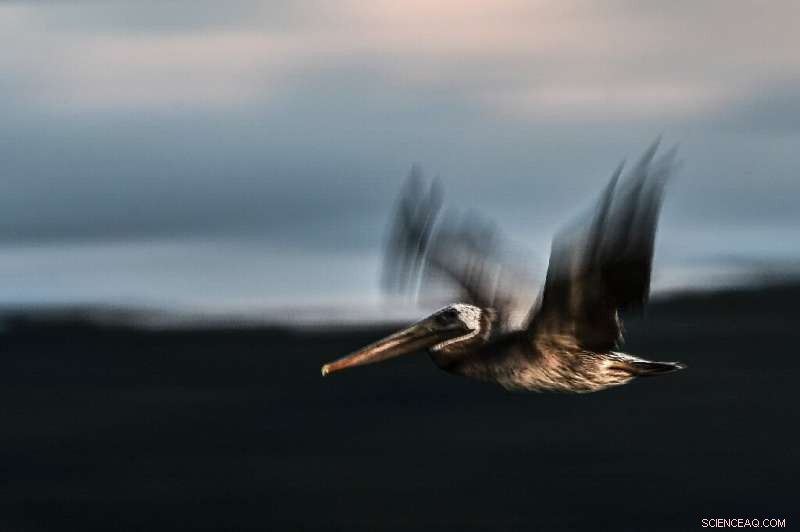 UN Report: Degrading Nature Threatens Humanity