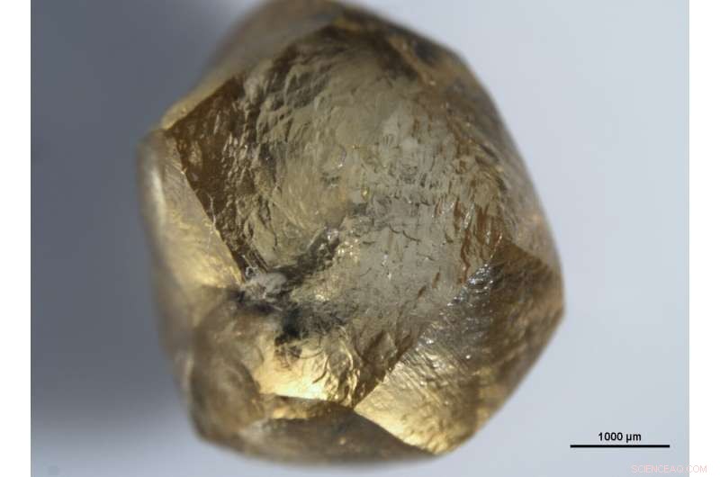 Diamonds Reveal the Secret to Continental Stability and Earth s Habitability