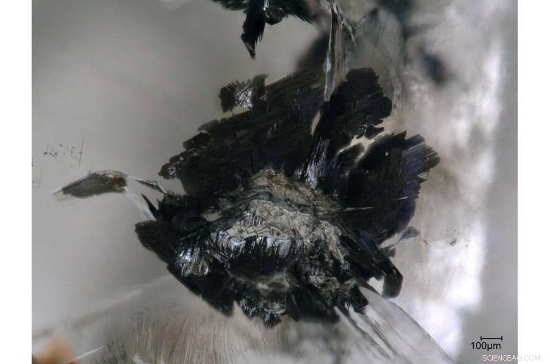 Diamonds Reveal the Secret to Continental Stability and Earth s Habitability