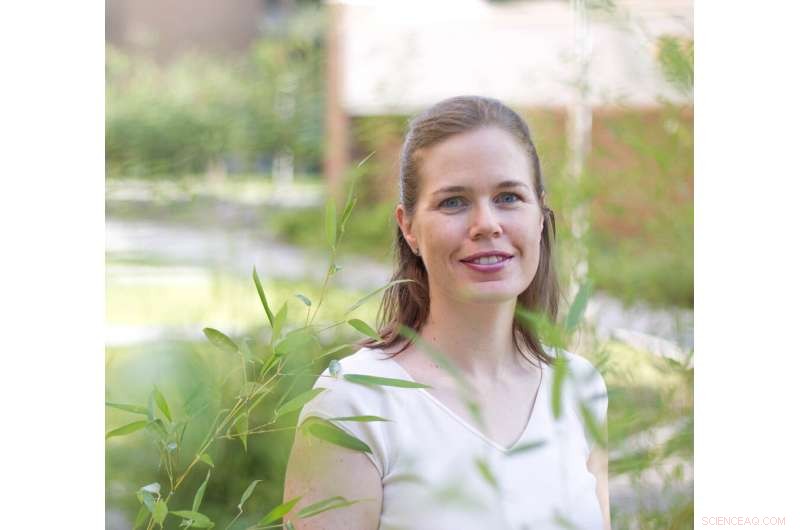 Severe Sea‑Level Rise Threatens 75% of the US Southeast Atlantic Coast by 2030