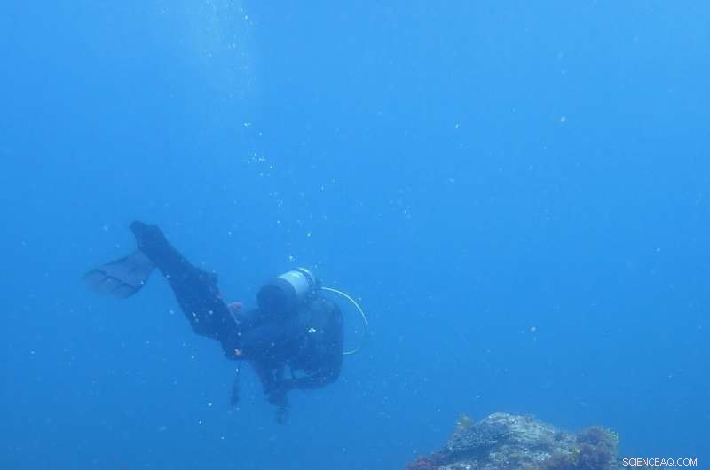 Ocean Acidification Threatens Millions: Impacts on Coastal Protection, Fisheries, and Aquaculture