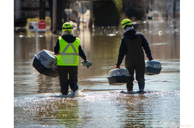 Canada Evacuates 10,000 Residents Amid Spring Floods; Rescue Teams Search for Pets