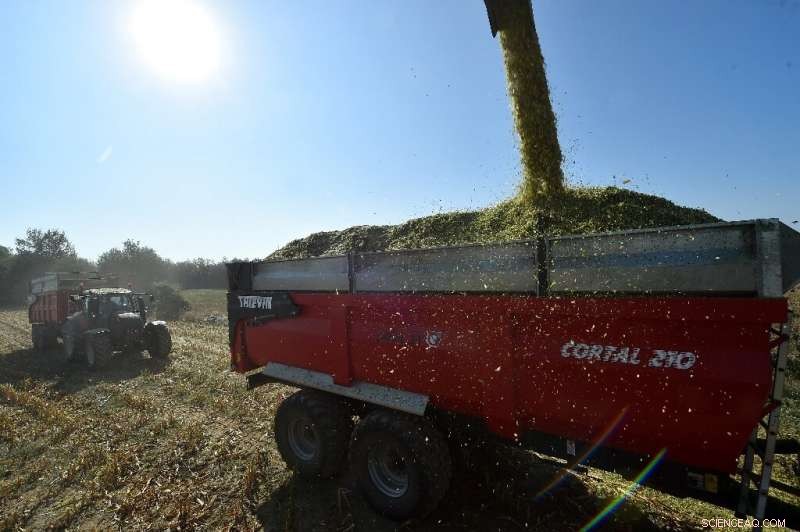 EU Introduces €1 Billion Loan Program to Support Young Farmers