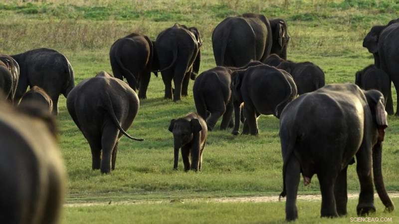 UN Report Urges Immediate Nature Rescue Plan to Prevent Extinction