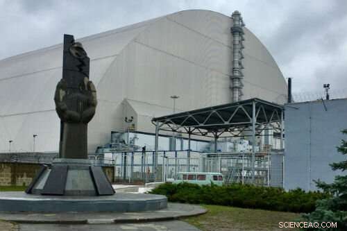 Bristol Scientists Explore the Chernobyl Red Forest
