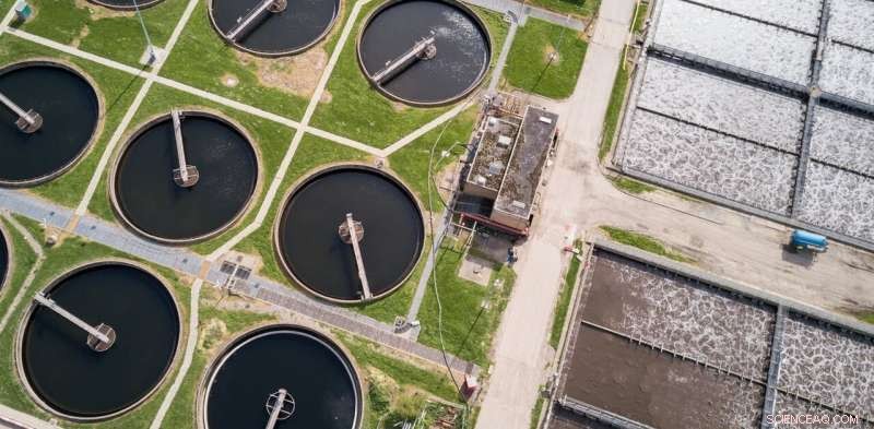 Transforming Sewage Sludge into Valuable Resources