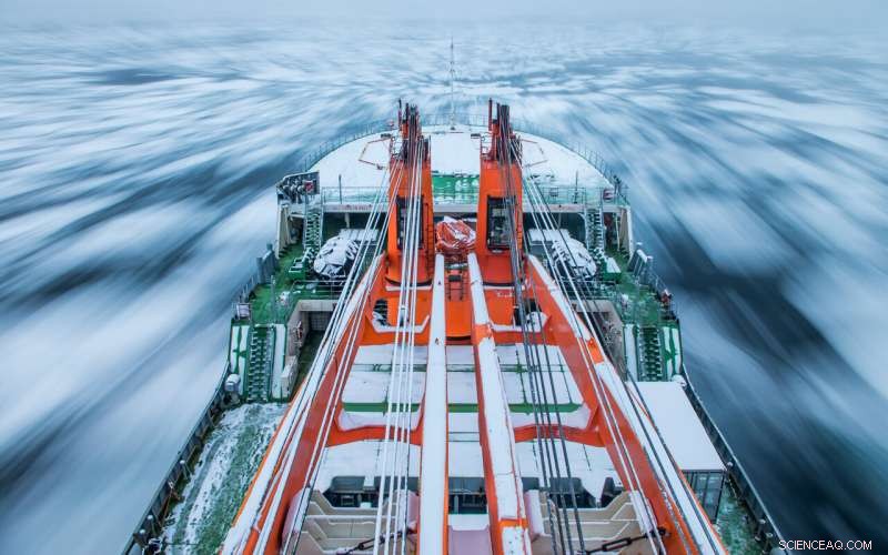 How Ocean Seasonal Memory Shapes Arctic Climate Change