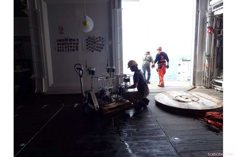 Rising Ocean Temperatures May Amplify CO₂ Release by Microbes, Study Finds