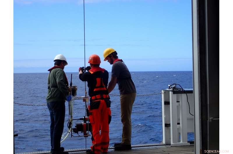 Rising Ocean Temperatures May Amplify CO₂ Release by Microbes, Study Finds