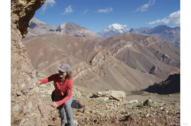 How Climate, Grasslands, and Dental Adaptations Shaped the Evolution of South American Mammals