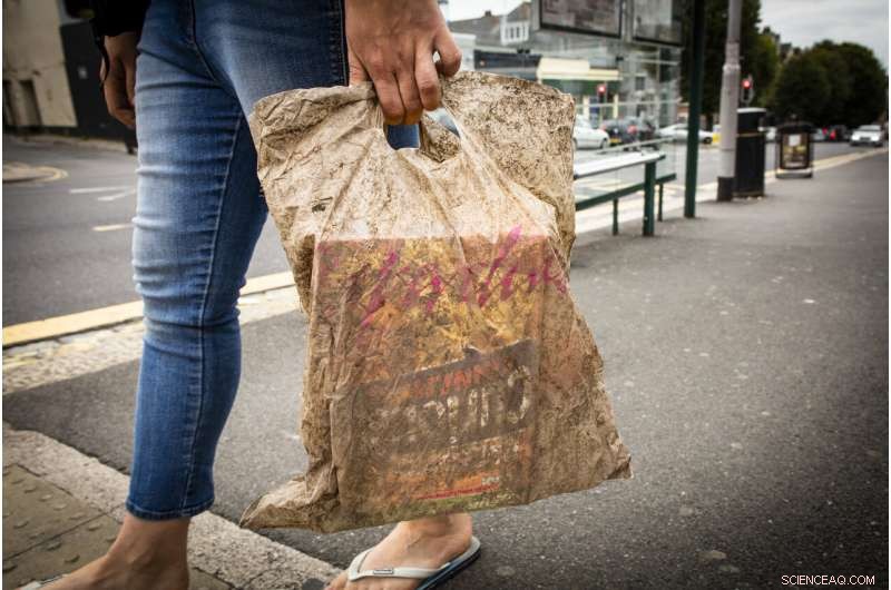 Biodegradable Shopping Bags Remain Functional After Three Years in the Environment