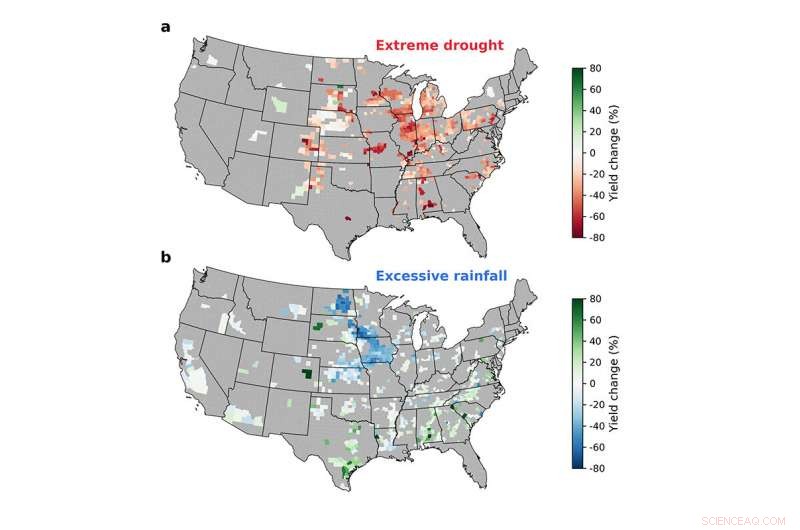Excessive Rainfall Damages Corn Yields as Much as Extreme Heat and Drought