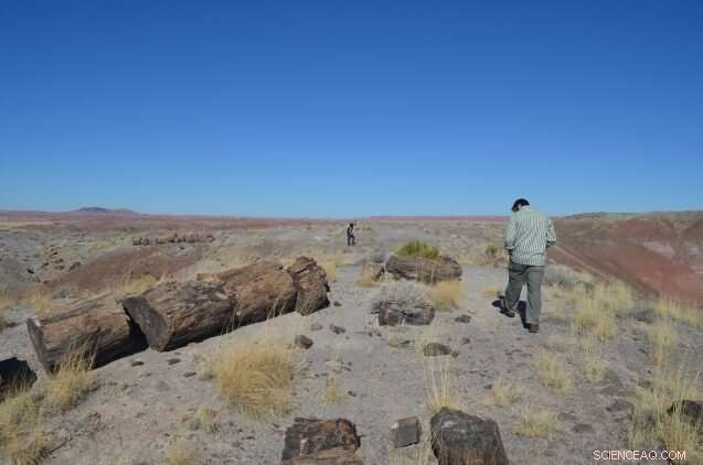Drought in the Southwest: A Comprehensive Overview
