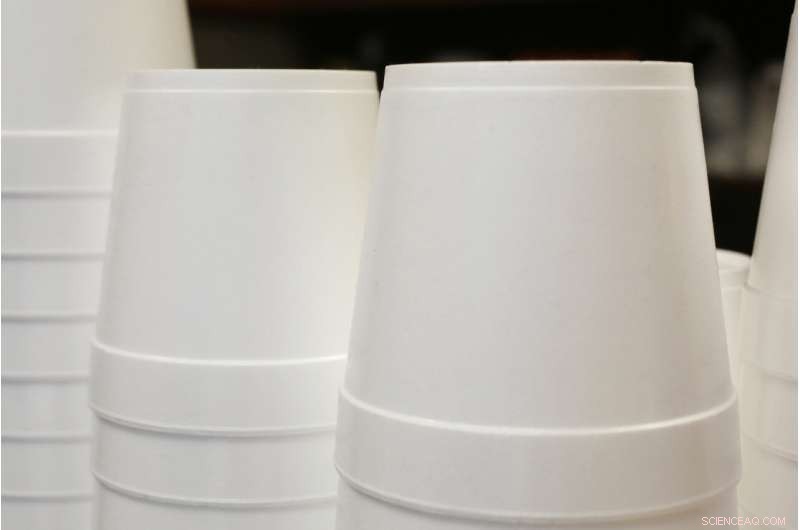 Maine Sets Precedent: First State to Ban Single-Use Polystyrene Foam Containers