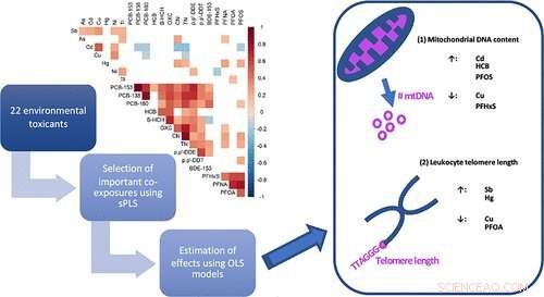 Environmental Pollutants May Accelerate Cellular Aging: Study Links Exposure to Premature Cellular Damage