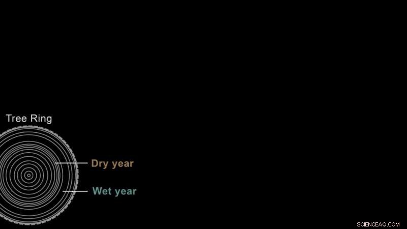 Scientists Detect 1900‑Present Climate‑Warming Signal in Global Drought Patterns