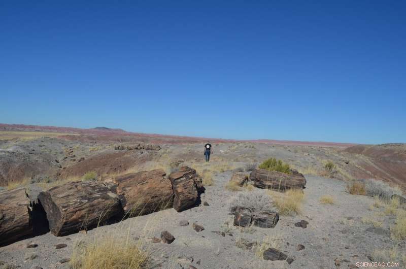 Scientists Detect 1900‑Present Climate‑Warming Signal in Global Drought Patterns