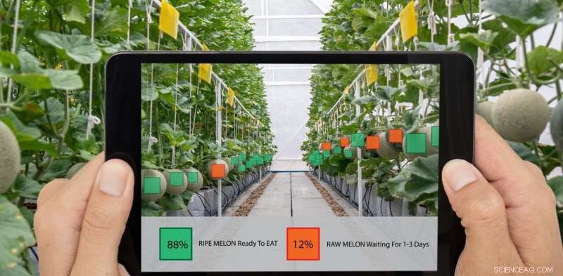 Beyond Smart Cities: Why Smart Farms Are the Future of Agriculture