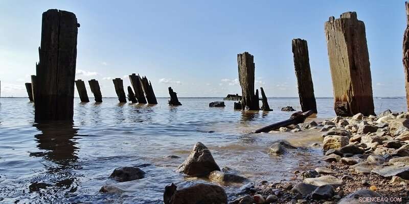 Elevated Pharmaceutical Levels Detected in the Humber Estuary