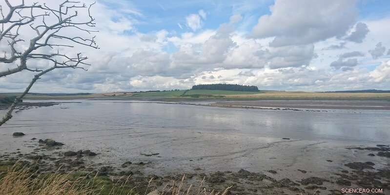 Elevated Pharmaceutical Levels Detected in the Humber Estuary