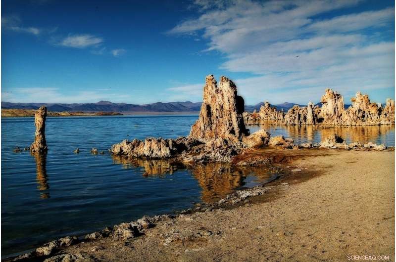 Scientists Discover Arsenic-Respiring Life in the Tropical Pacific Ocean