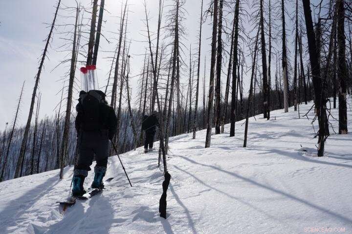 Study Reveals Forest Fires Speed Up Snowmelt in Western U.S.